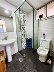 Clementi Park (D21), Condominium #546685701